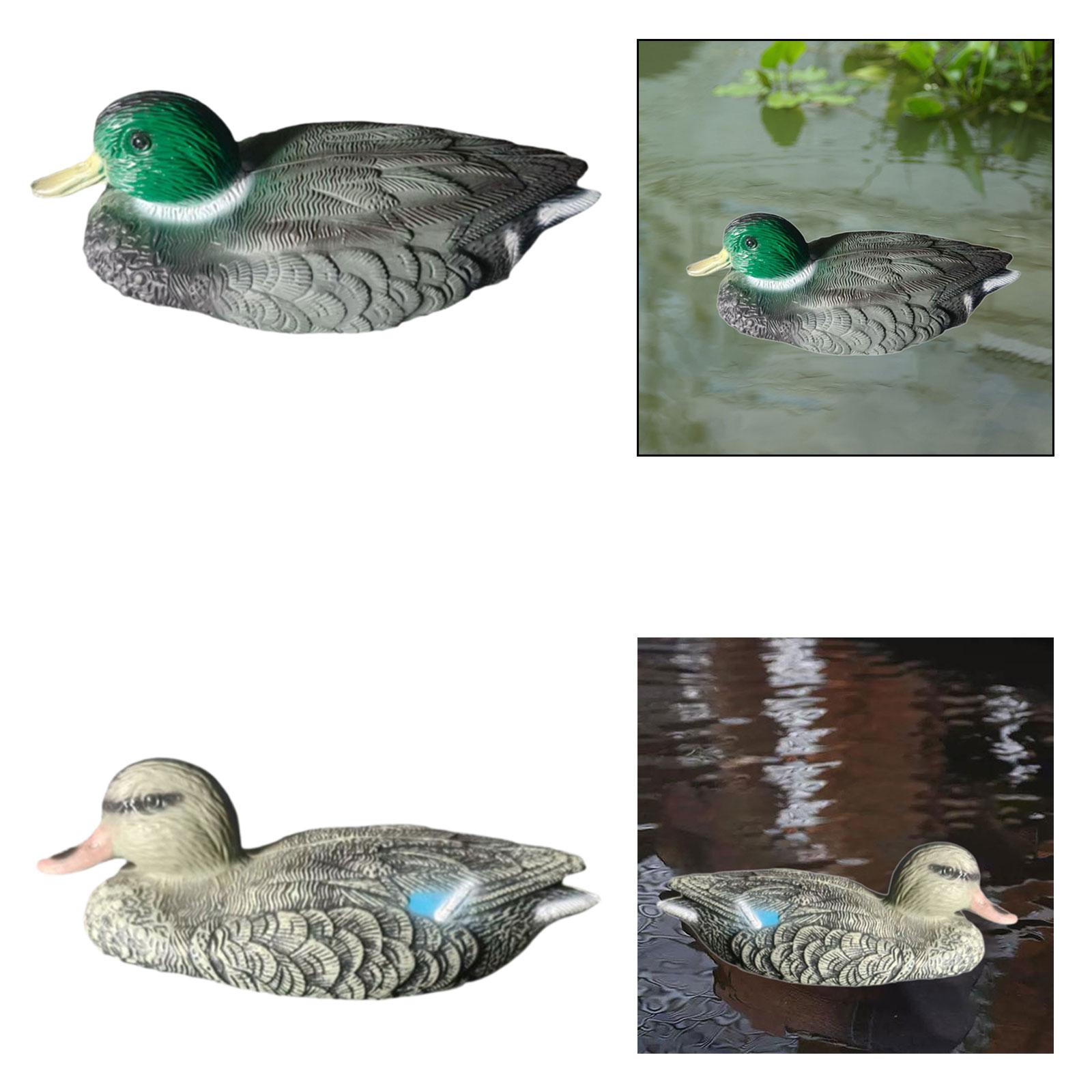 Floating Duck Decoy Realistic  - Outdoor Hunting Place ulasan dan harga