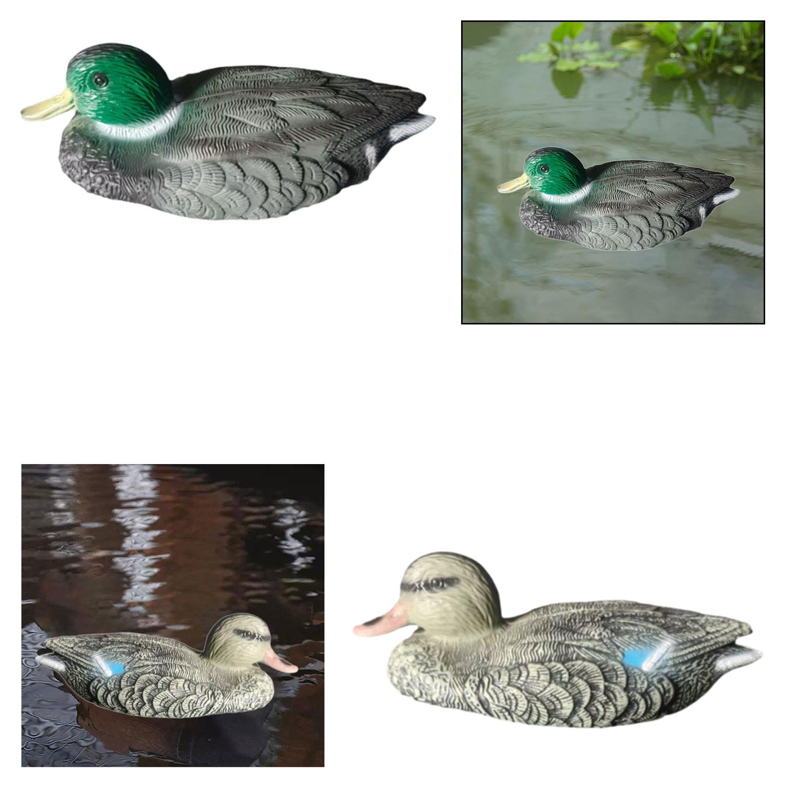 Floating Duck Decoy Realistic  - Outdoor Hunting Place ulasan dan harga